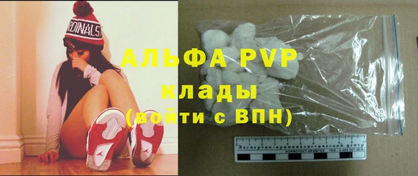 стаф Новокубанск
