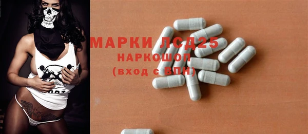 PSILOCYBIN Новозыбков