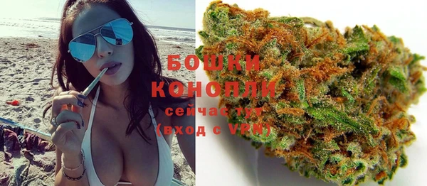 PSILOCYBIN Новозыбков