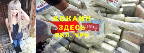 PSILOCYBIN Новозыбков