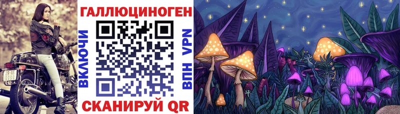 где купить наркотик  Туймазы  Галлюциногенные грибы Cubensis 
