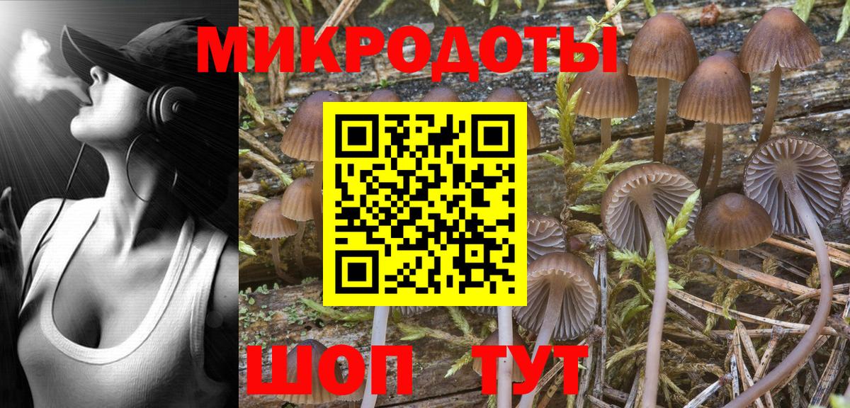 Туймазы  Псилоцибиновые грибы мухоморы  Псилоцибиновые грибы Magic Shrooms  Вход с VPN 